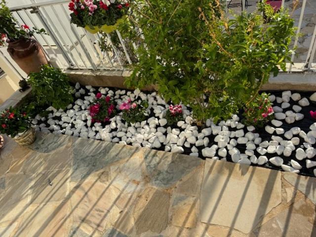 Panorama Γλυκά Νερά - Athens Apartment Exterior foto